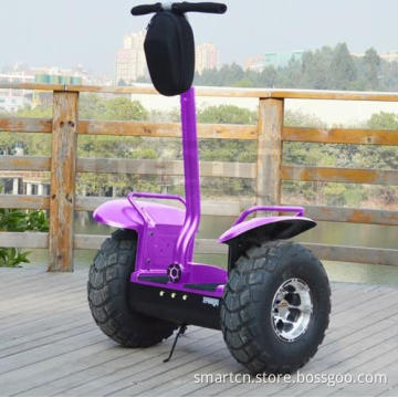 off-Road Street Electric Scooter for Entertainment